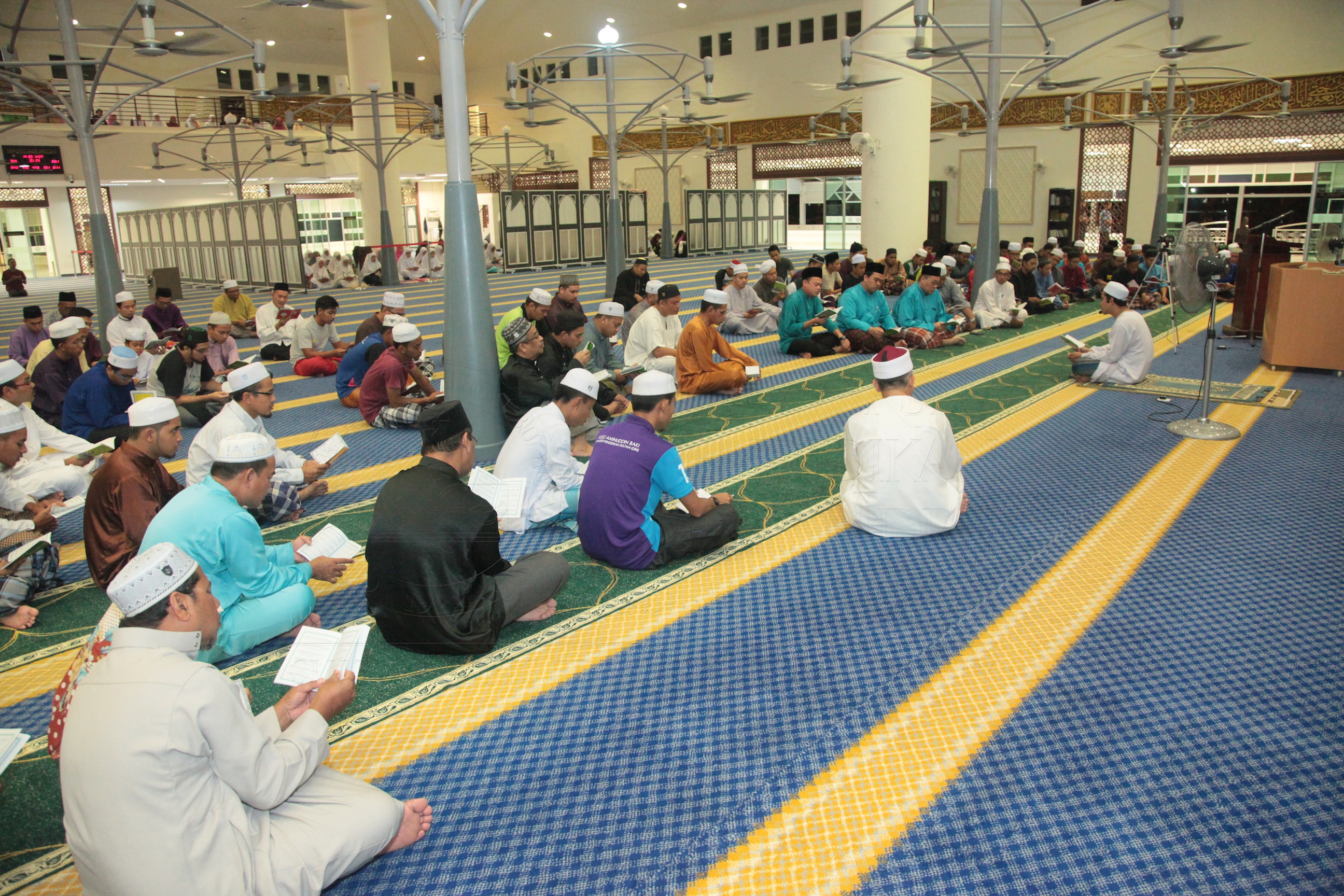 PRO16 20 yassin IMG 0376